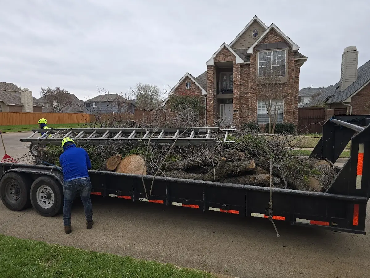 Expert Tree Removal with proper safety equipment in Chaptico
